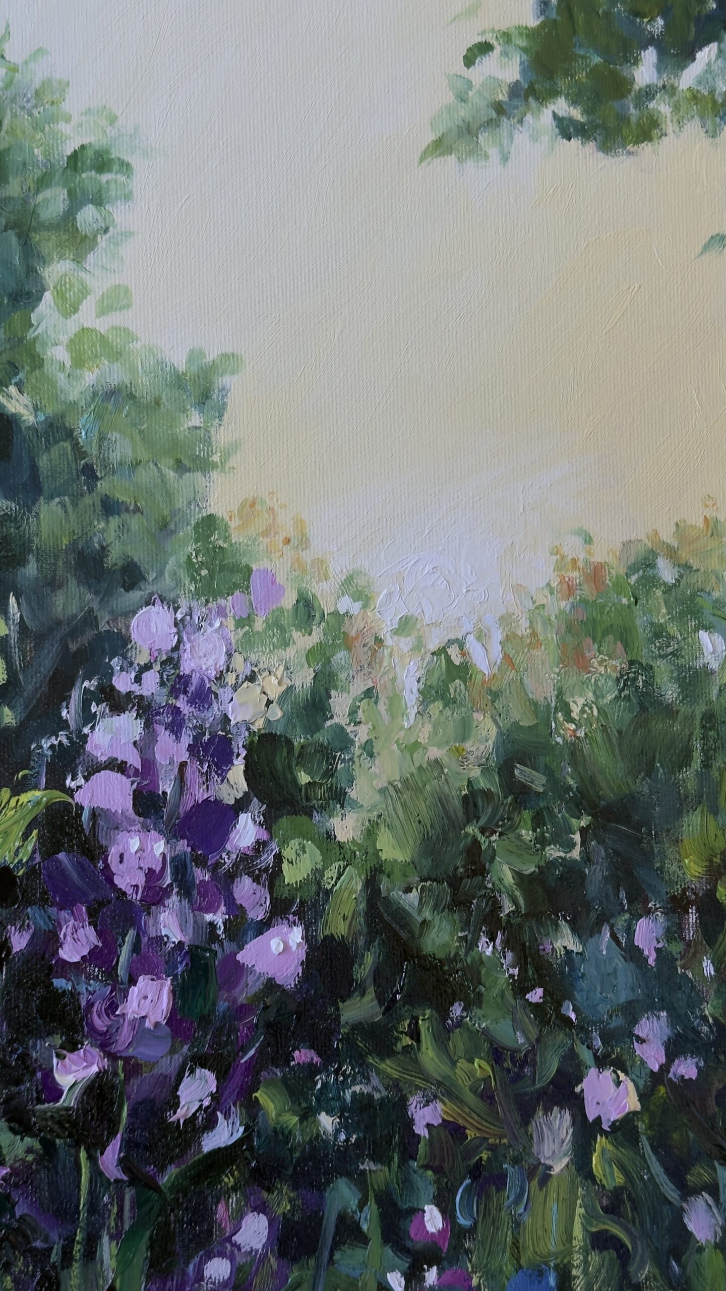 Forest Field - Image 6