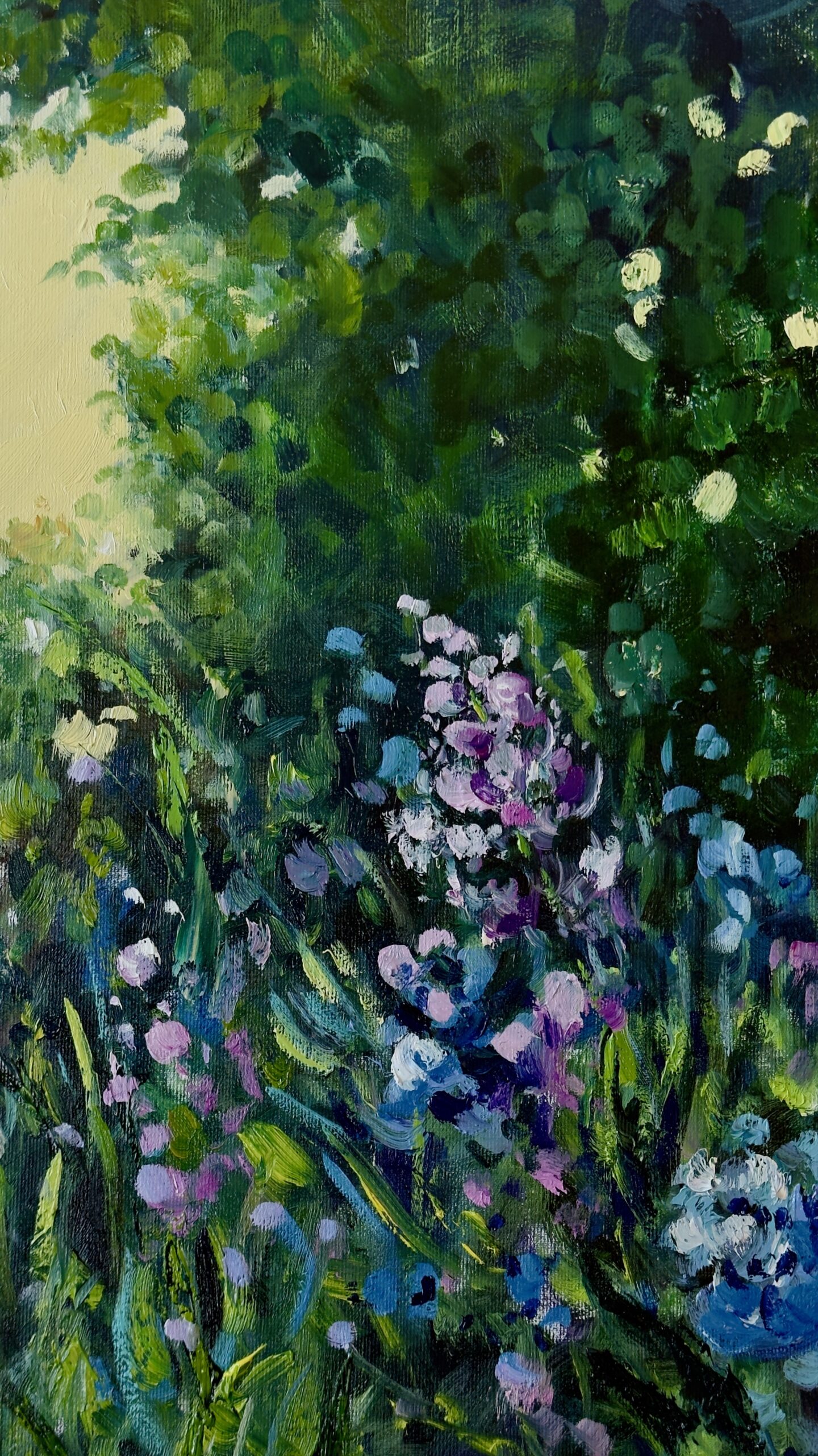 Forest Field - Image 3